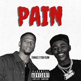 Album cover of PAIN (feat. ysn flow)