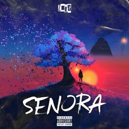 Album cover of Señora