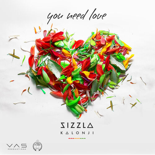 Sizzla Kalonji - You Need Love: listen with lyrics | Deezer