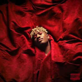 Album cover of Velvet