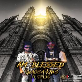 Album cover of Am Blessed (feat. Stylo G)