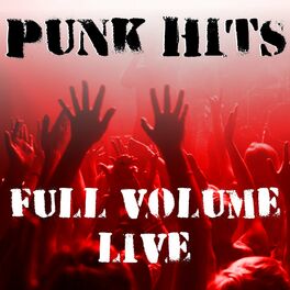 Album cover of Punk Hits Full Volume Live