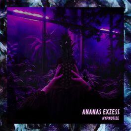 Album cover of Ananas Exzess