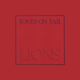 Album cover of Lions/Go!