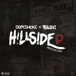 Album cover of Hillside