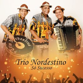 Album cover of Só Sucesso