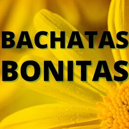 Album cover of Bachatas Bonitas
