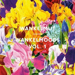 Album cover of Wankelmoods Vol. 1
