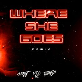Album cover of Where She Goes (Remix)