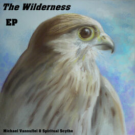 Album cover of The Wilderness