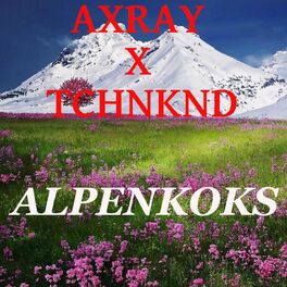 Album cover of Alpenkoks (feat. TCHNKND)