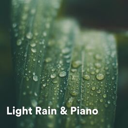 Album cover of Light Rain & Piano