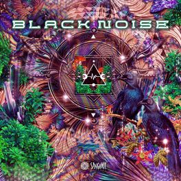 Album cover of Black Noise