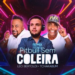 Album cover of Pitbull Sem Coleira (Remix)