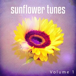 Album cover of Sunflower Tunes, Vol. 1 (Sun Flavoured Relaxing Tunes)