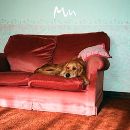 Album cover of I Feel You Feel