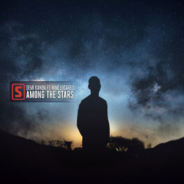 Album cover of Among The Stars