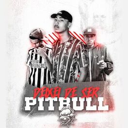 Album cover of Deixei de Ser Pitbull