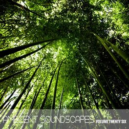 Album cover of Ambient Soundscapes- Vol 26