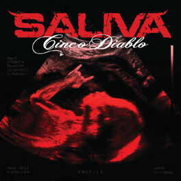 Album cover of Cinco Diablo