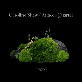 Album cover of Caroline Shaw: Evergreen