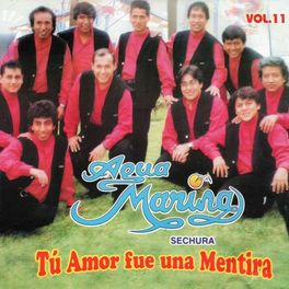 Album cover of Tu Amor Fue una Mentira, Vol. 11