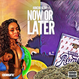 Album cover of Now or Later (feat. Fro)