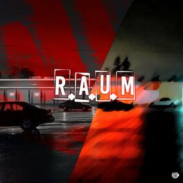 Album cover of R.A.U.M.