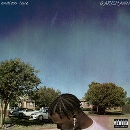 Album cover of Endless Love