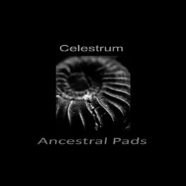 Album cover of Ancestral Pads