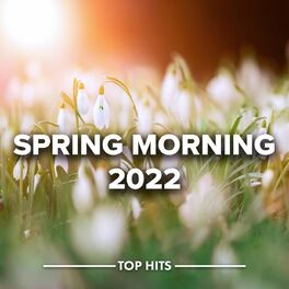 Album cover of Spring Morning 2022