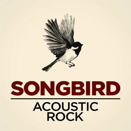 Album cover of Songbird - Acoustic Rock