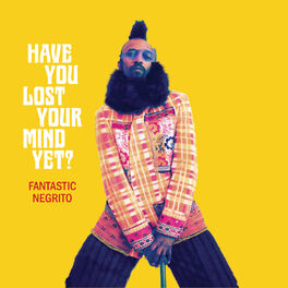 Album cover of Have You Lost Your Mind yet?