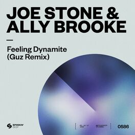 Album cover of Feeling Dynamite (Guz Remix)