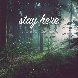 Album cover of Stay Here