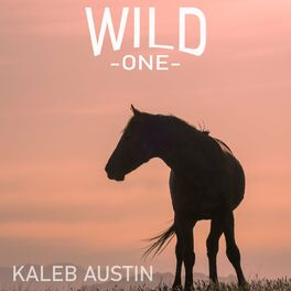 Album cover of Wild One