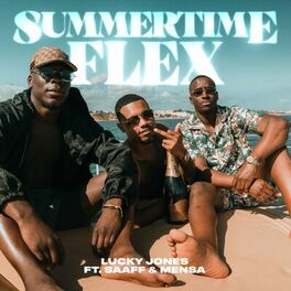 Album cover of Summertime Flex