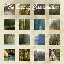 Album cover of The Best Of Capercaillie