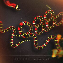 Album cover of Cobra Coral