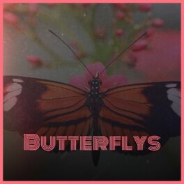 Album cover of Butterflys