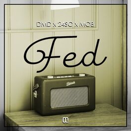 Album cover of FED (feat. 24So & MOB)