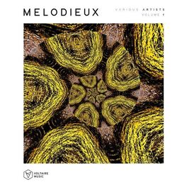 Album cover of Melodieux, Vol. 1