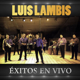 Album cover of Éxitos (En Vivo)