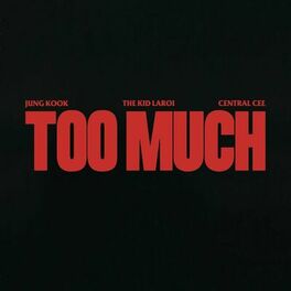 Album cover of TOO MUCH