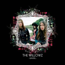 Album cover of Unveil