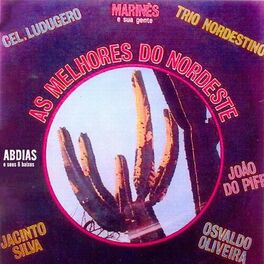 Album cover of As Melhores do Nordeste
