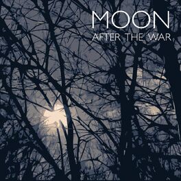 Album cover of After the War