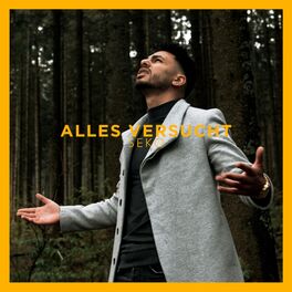 Album cover of Alles versucht