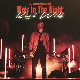 Album cover of Wolf In The Night