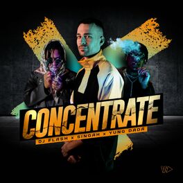 Album cover of Concentrate